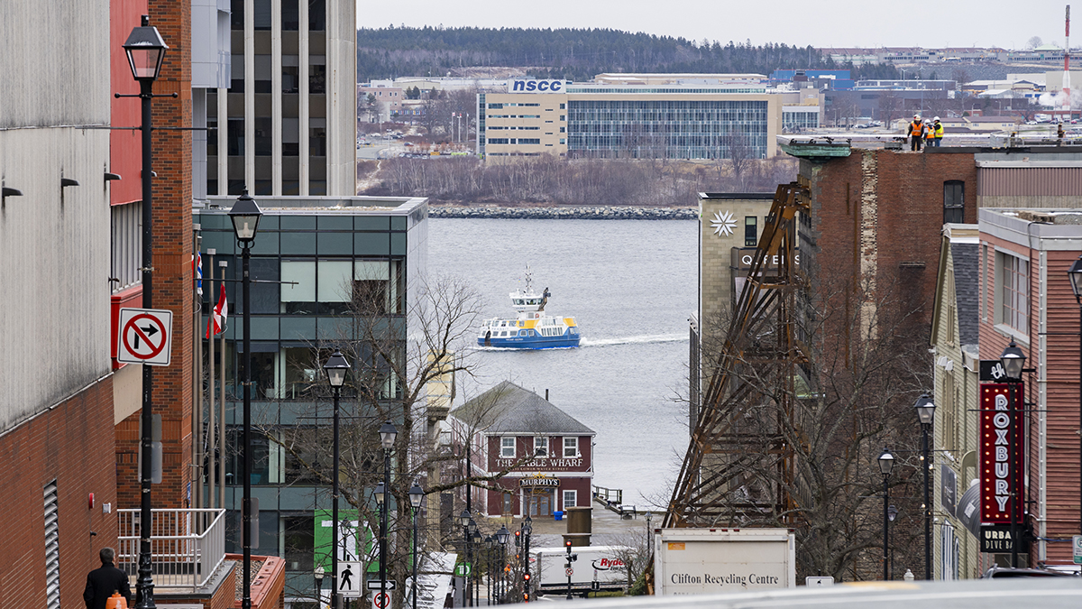 Halifax Transit tweet media