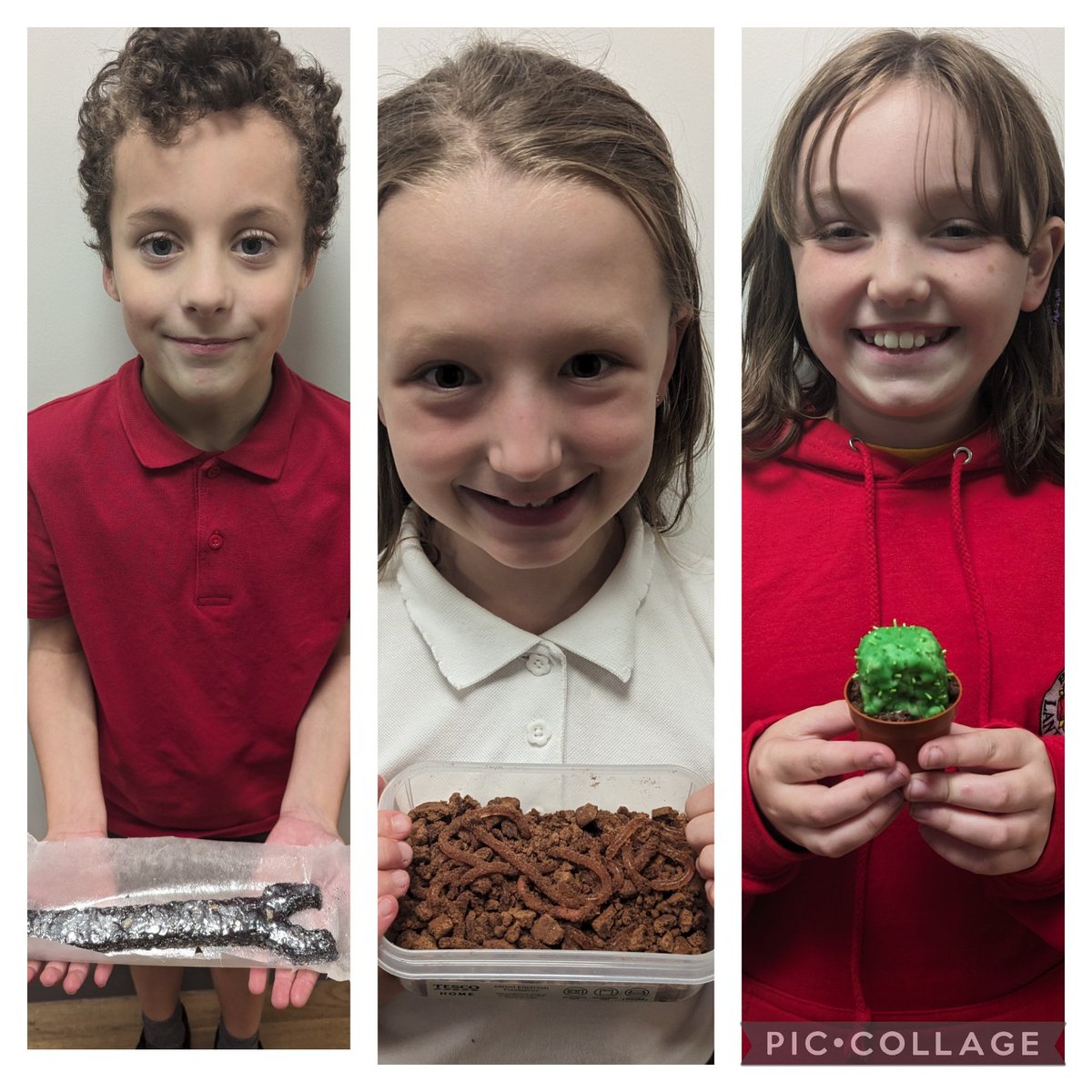 Mrs Horne tweet media