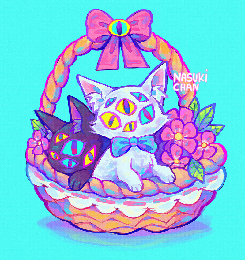 Paula 💙 tweet media