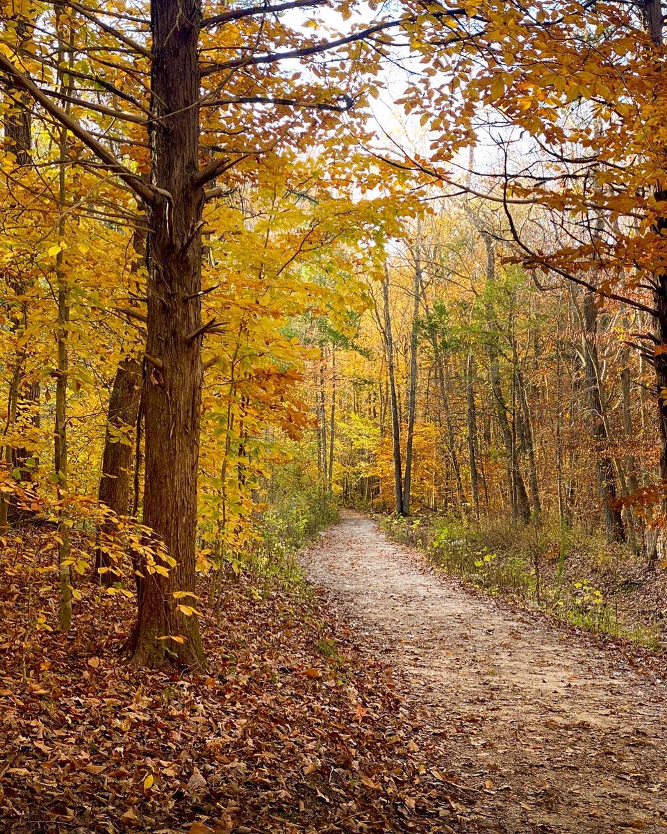 artourism's tweet photo. Add these four things to your fall itinerary in The Natural State!

🎃 Find the pick of the patch
🏕️ Enjoy a camping trip
🎢 Have fun at a festival or fair
🥾 Go for a scenic hike

#ARAmbassadors #VisitArkansas #ArkansasFall https://t.co/nylzTZtmfI https://t.co/BzgqijF0Zl