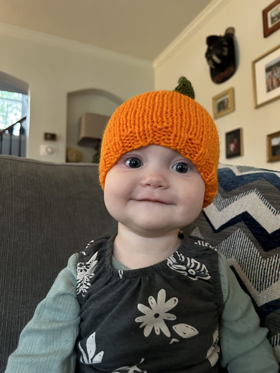 keithjamin's tweet photo. 🎃🧡 https://t.co/kg4Iwotgg9