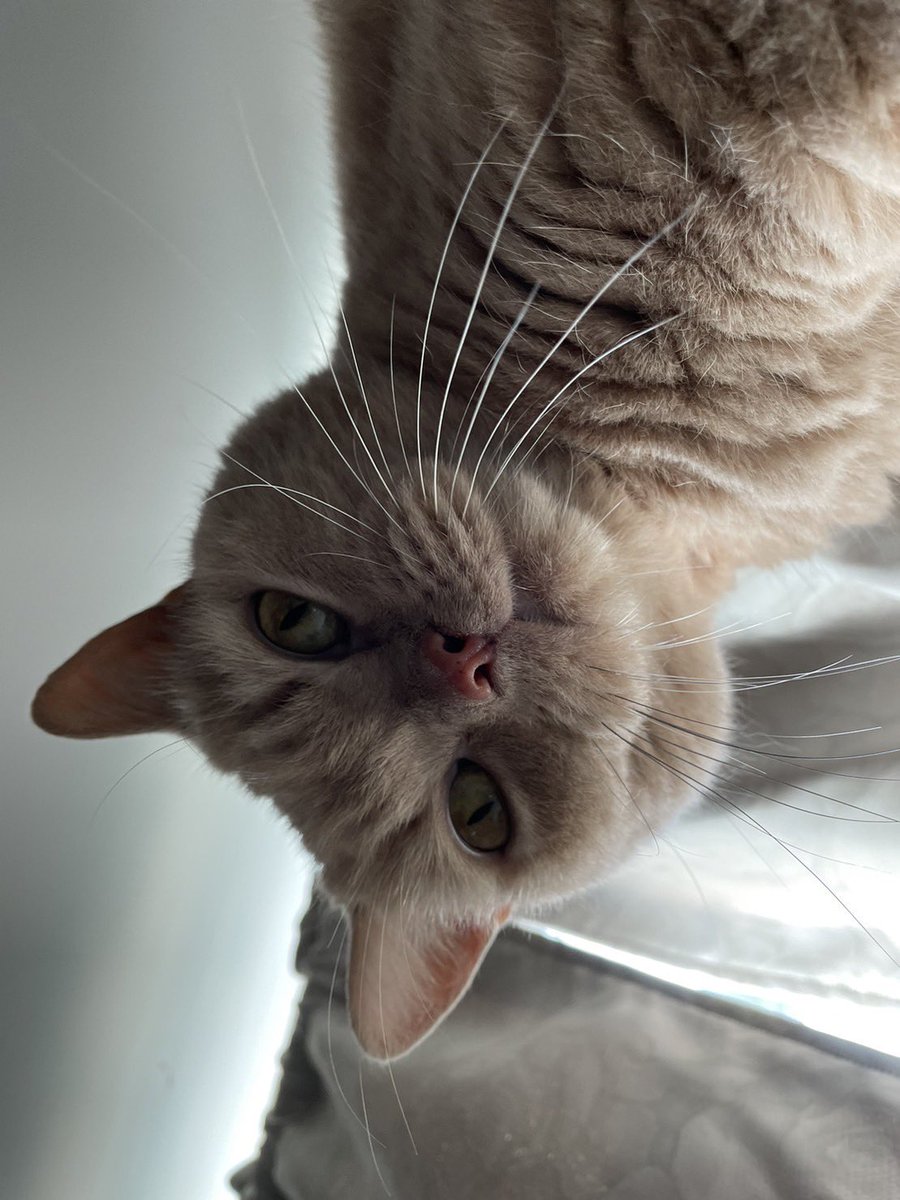 早安，禮拜五了喔！