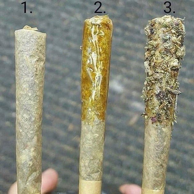 _StonersRUs_'s tweet image. 1 , 2 or 3? 🤔🔥

#StonerFam #Mmemberville #WeedLovers #CannabisCommunity