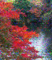 ML_HH's tweet photo. Thanks Kim for another nice program of @SWRADIOGRAM. Good reception today on 9265 kHz in Germany. Signal was between S7 and S9 on my dipole antenna at 30 feet height! Enjoy the weekend, best wishes! 73 https://t.co/skwTJXn6d8