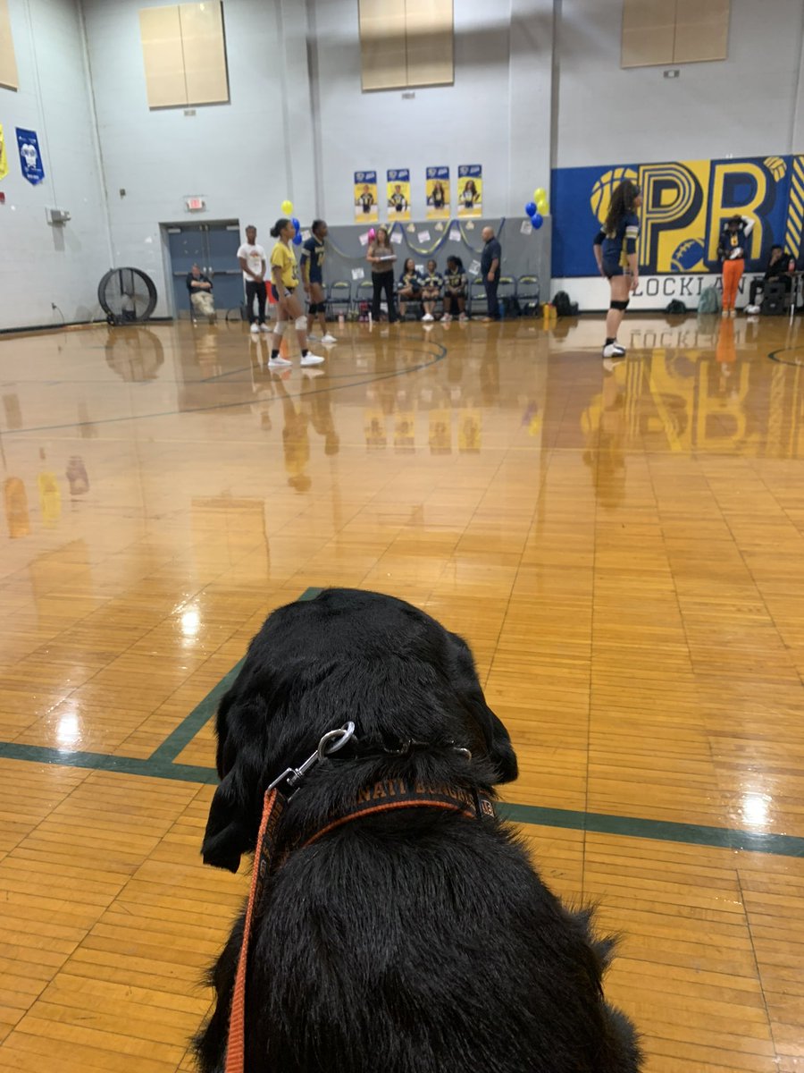 Mr. Diggle (@mister_diggle) on Twitter photo Got to watch volleyball senior night <a href="/LocklandLocal/">Bob Longworth</a> tonight! It was my first volleyball game and I loved it! Good luck to the seniors the rest of the year & in the future! 💙💛🏐💛💙 #diggledog #facilitydog #pantherpride #bumpsetspike #ooooball #classof24 #themmyfriendsoutthere Got to watch volleyball senior night <a href="/LocklandLocal/">Bob Longworth</a> tonight! It was my first volleyball game and I loved it! Good luck to the seniors the rest of the year & in the future! 💙💛🏐💛💙 #diggledog #facilitydog #pantherpride #bumpsetspike #ooooball #classof24 #themmyfriendsoutthere