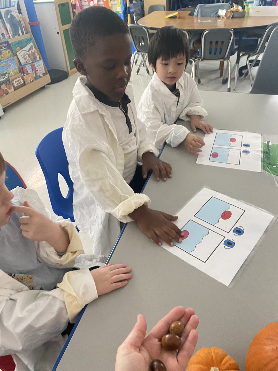 Ms.Grove’s Class tweet media