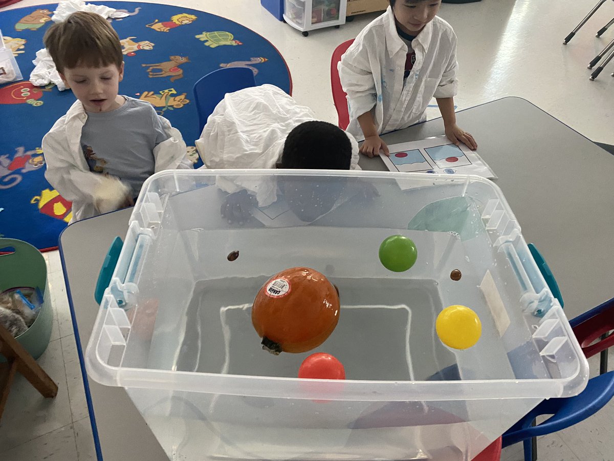 Ms.Grove’s Class tweet media