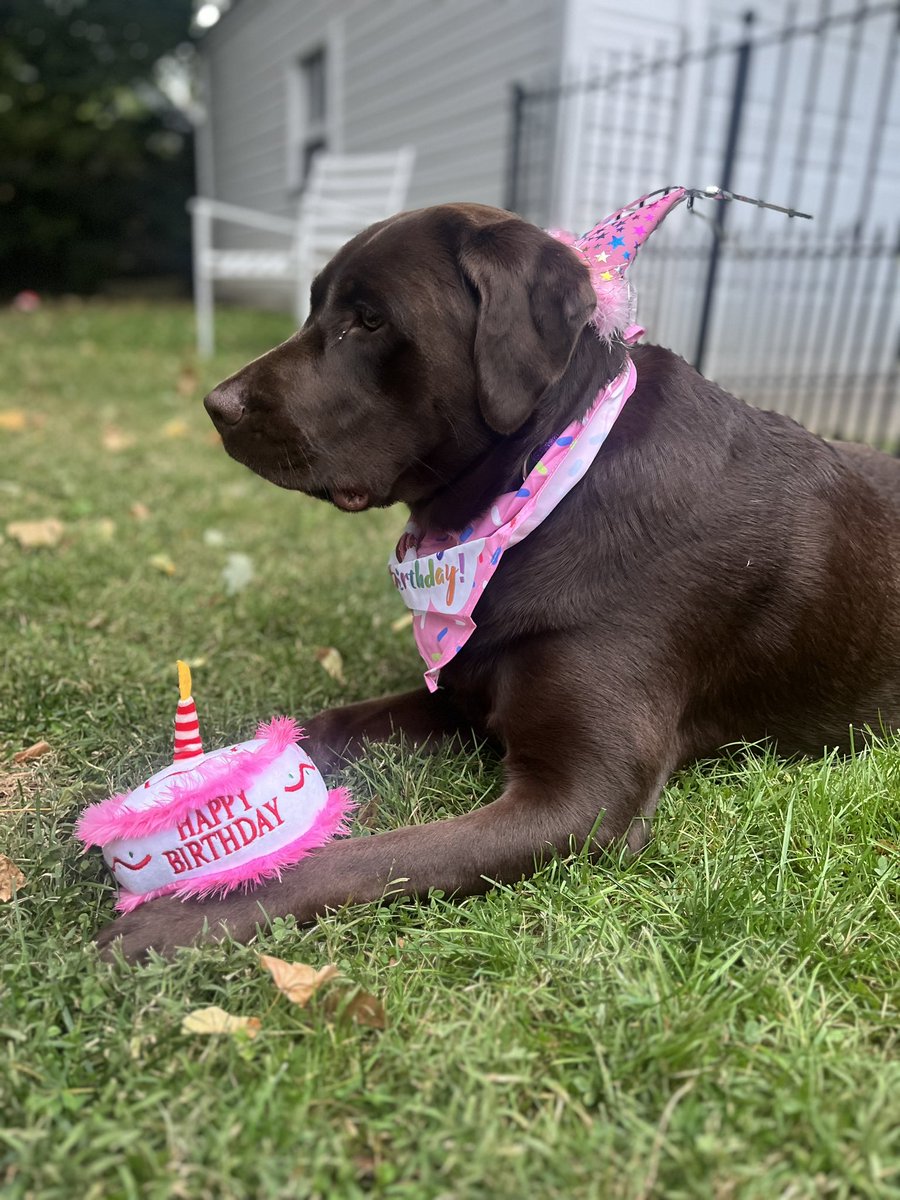 carleywhitney's tweet image. 🎶 She’s the best girl…in the whole 🌎 …she’s the Tammy girl. 
-CarCar original 🎶 
HBD to the 🤎
2️⃣ looks good on you 
#SheUnderstoodTheAssignment #NoFilter #lablyfe