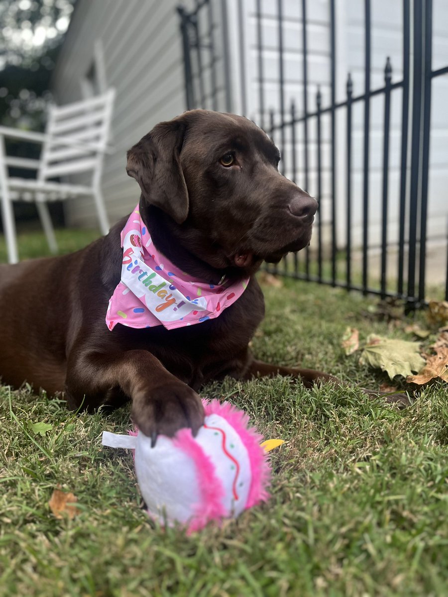 carleywhitney's tweet image. 🎶 She’s the best girl…in the whole 🌎 …she’s the Tammy girl. 
-CarCar original 🎶 
HBD to the 🤎
2️⃣ looks good on you 
#SheUnderstoodTheAssignment #NoFilter #lablyfe