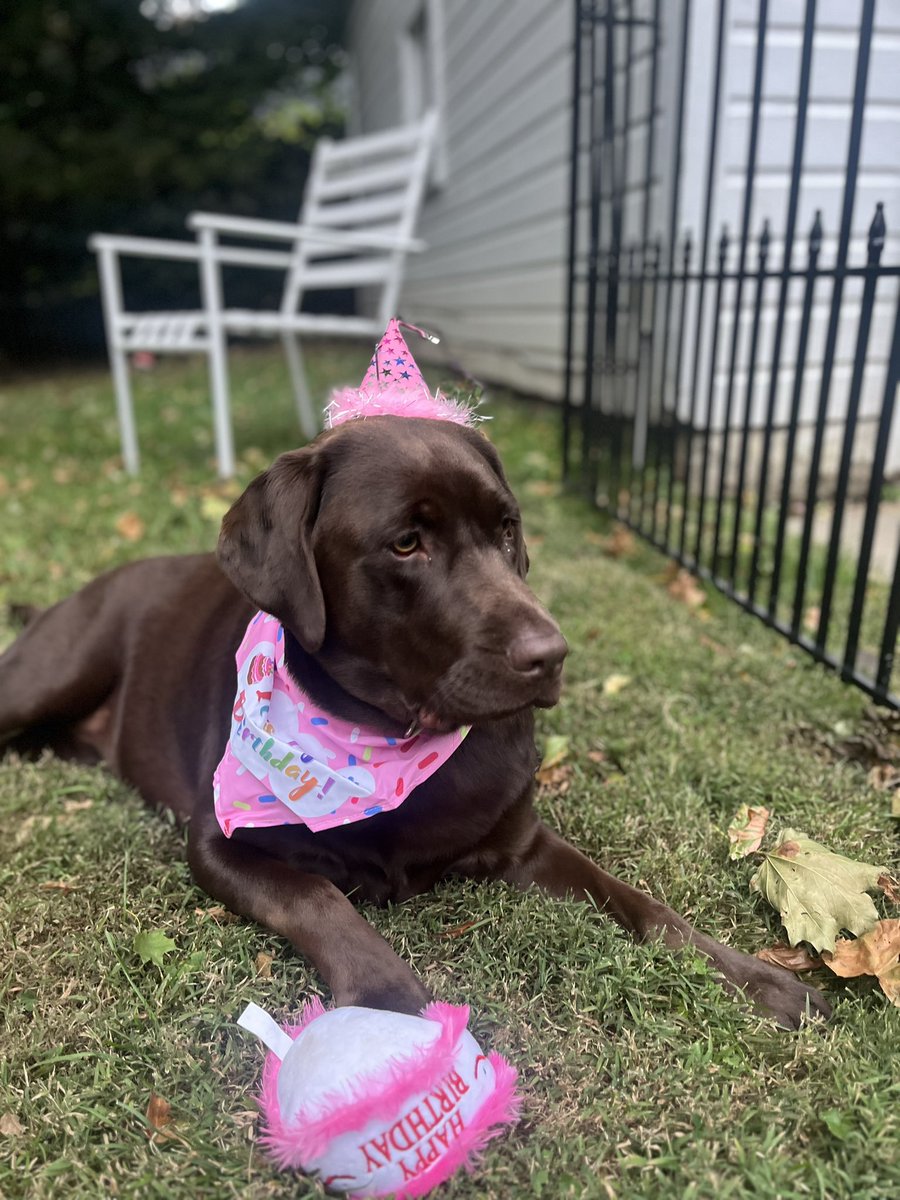 carleywhitney's tweet image. 🎶 She’s the best girl…in the whole 🌎 …she’s the Tammy girl. 
-CarCar original 🎶 
HBD to the 🤎
2️⃣ looks good on you 
#SheUnderstoodTheAssignment #NoFilter #lablyfe