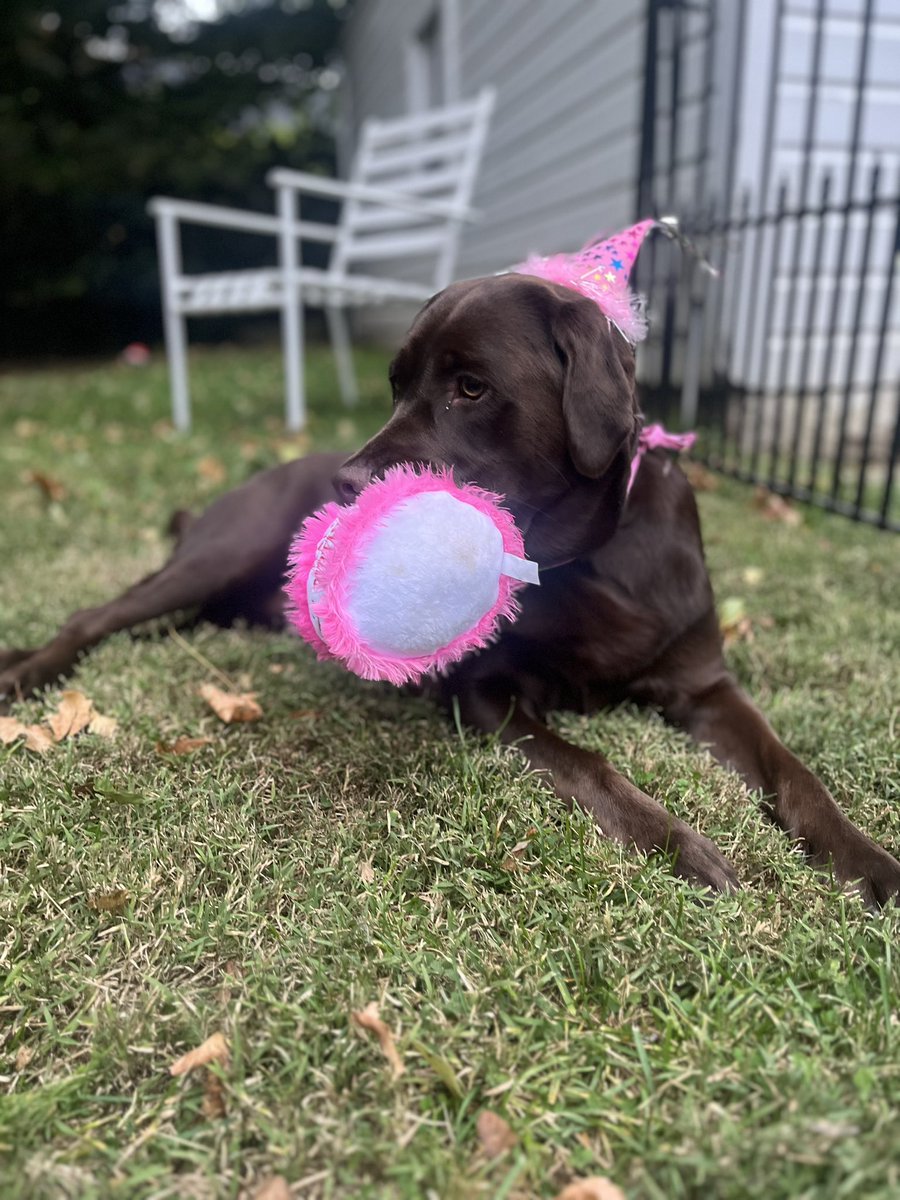 carleywhitney's tweet image. 🎶 She’s the best girl…in the whole 🌎 …she’s the Tammy girl. 
-CarCar original 🎶 
HBD to the 🤎
2️⃣ looks good on you 
#SheUnderstoodTheAssignment #NoFilter #lablyfe