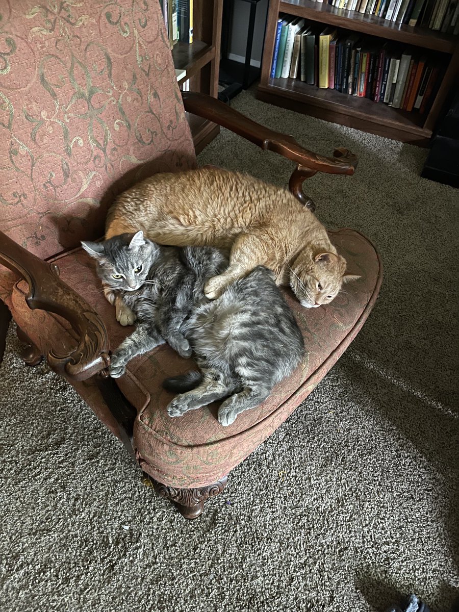 Jack and Olivia lounging the afternoon away.