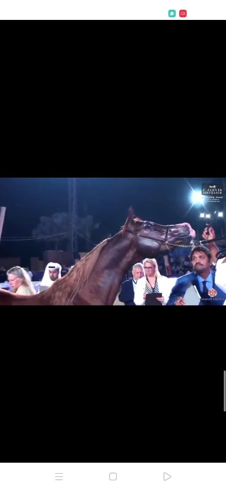 ZogharyA's tweet photo. سكر كريازي 🚀🇪🇬 https://t.co/mceY2mzyQS
