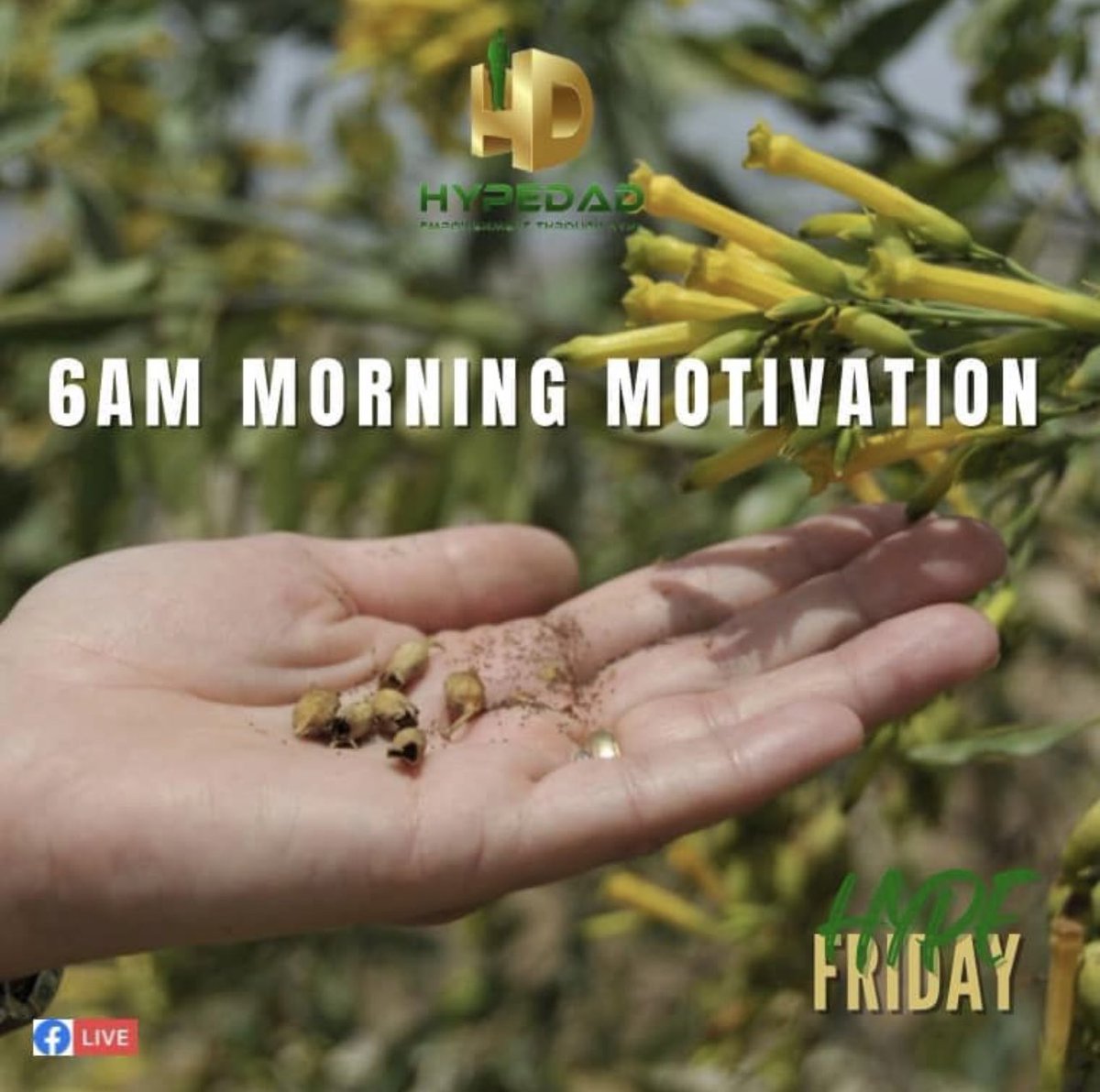 thmfoundation's tweet photo. It’s almost that time of the week!! Don’t forget to join us TOMORROW at 6AM EST for our Hype Friday morning talk with HypeDad!! 🙌🏾💚 #thehypemanfoundation #hypefriday https://t.co/OFVD1qswCr