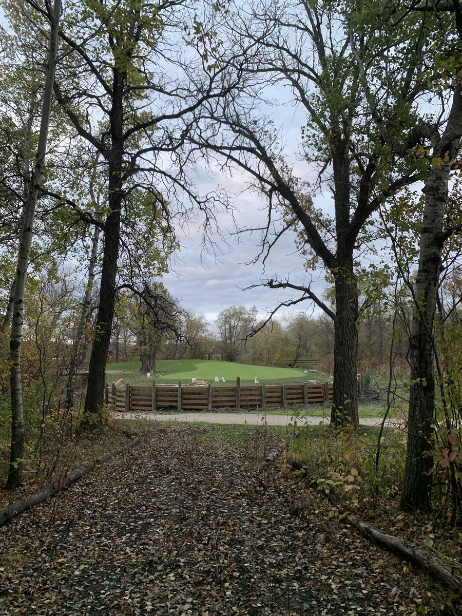 Connor Sisson tweet media