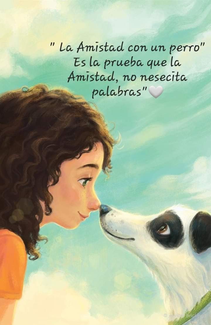 Buenas noches ✨💖