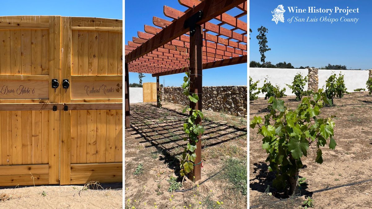 The Heritage Mission Vineyard is ready for you! Join us at the <a href="/DanaAdobe/">Dana Adobe</a> on October 20th for its official ribbon cutting. 🎉 Learn more about our Heritage Mission Vineyard project: buff.ly/3jk26Lc.  #SloWine #WineHistory #MissionVineyard