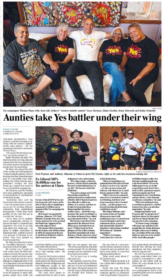 Thomas Mayo tweet media