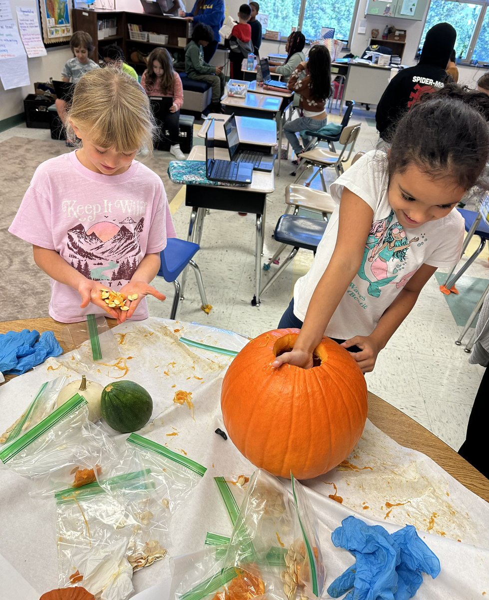 Jacky Mansour tweet media