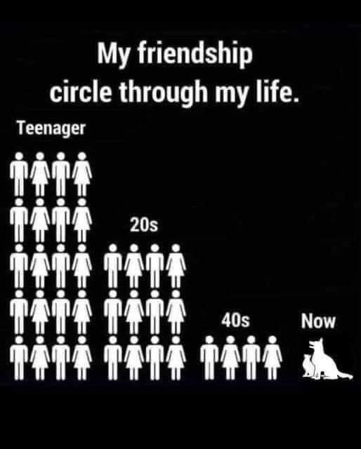 ThatEricAlper's tweet image. 