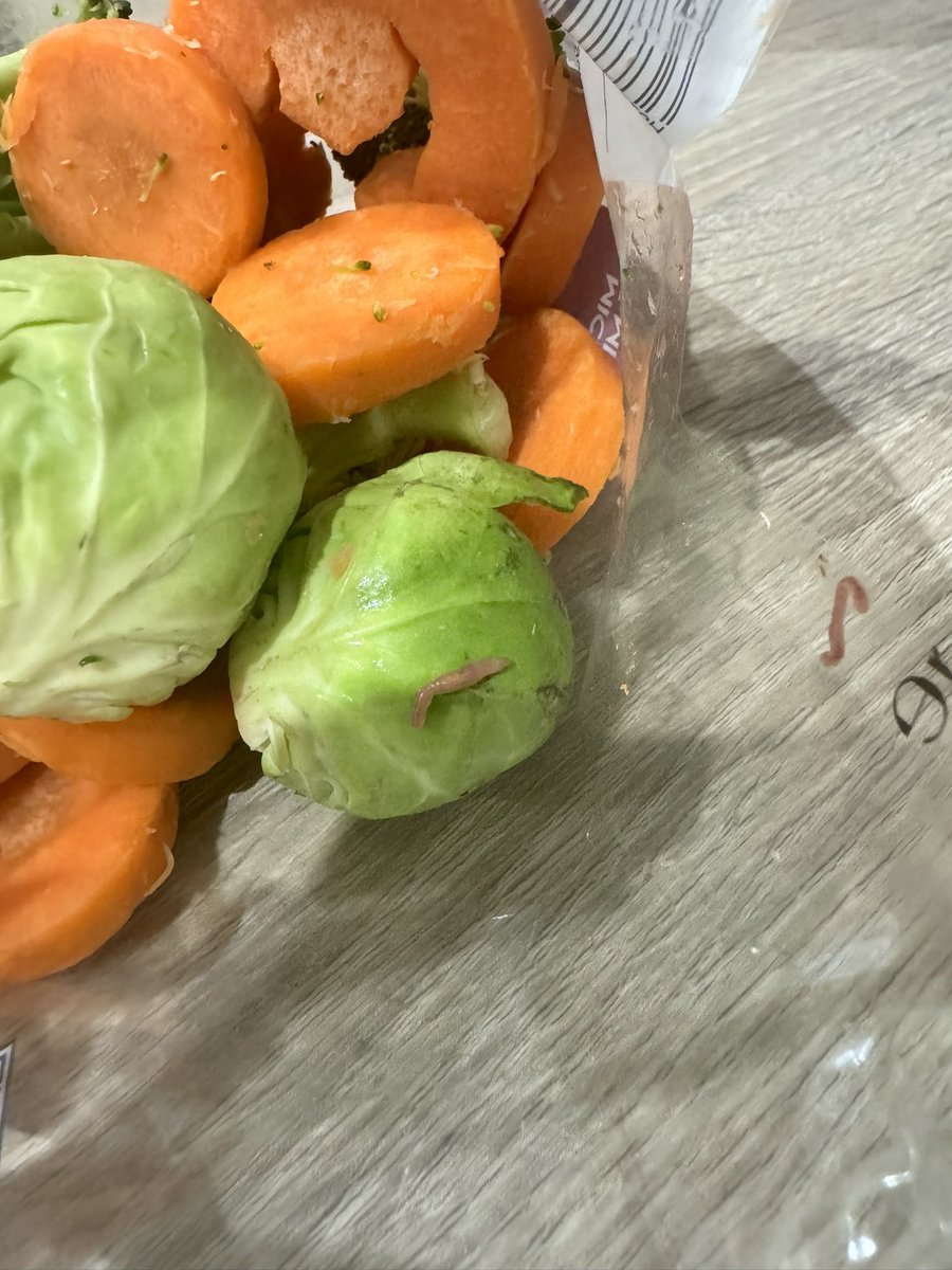 deetyler14's tweet photo. @AsdaServiceTeam why is there a worm in my sprouts??? 🤢 https://t.co/oq86ecMe0F
