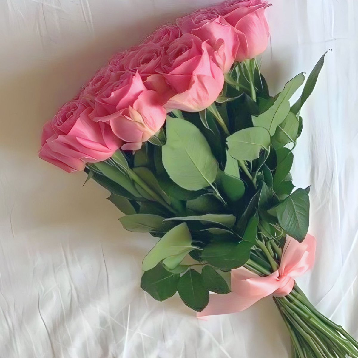 pink tulips or pink roses?