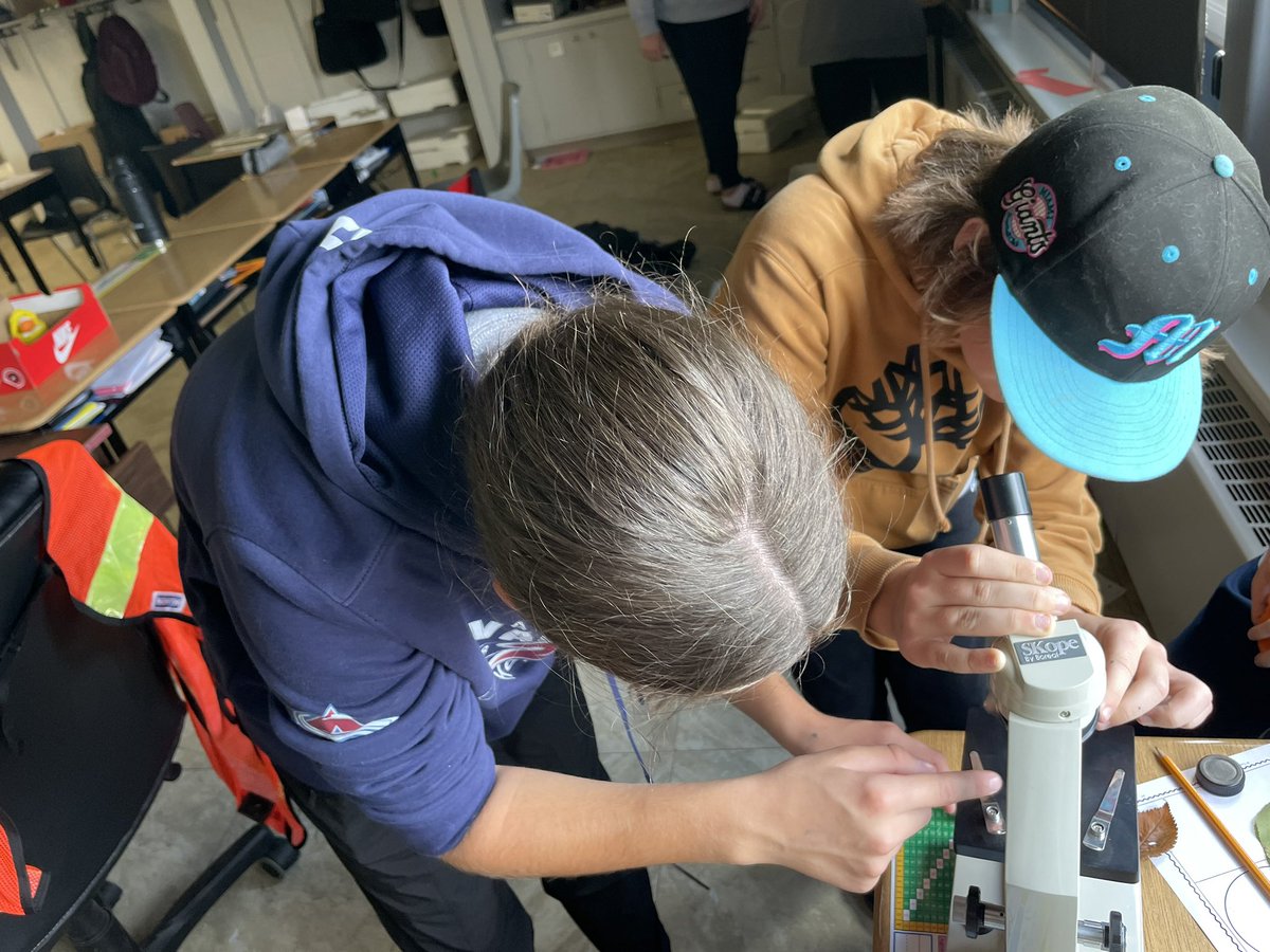 Students went outside and found different materials (Ie. leaves, corn, sand, pebbles) that they could look at under a microscope (1) <a href="/WalpoleNorth/">Walpole North</a> <a href="/GEDSB/">Grand Erie District School Board</a>