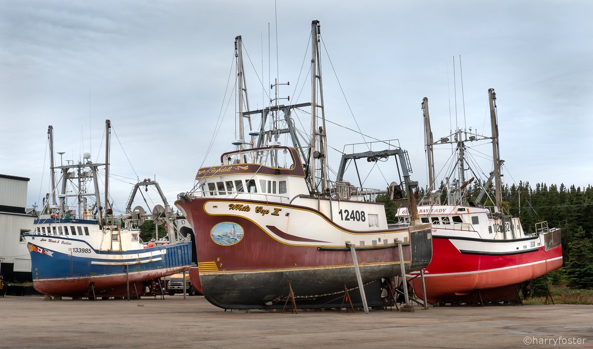 harry_fosters's tweet photo. I have to give top billing to these two dock workers at #PortSaunders, the friendliest most talkative fellows I could hope to meet. They were doing everything including bringing these huge longliners onto the docks for the winter, and or servicing. And, they loved to talk. https://t.co/yaHW8aPuln
