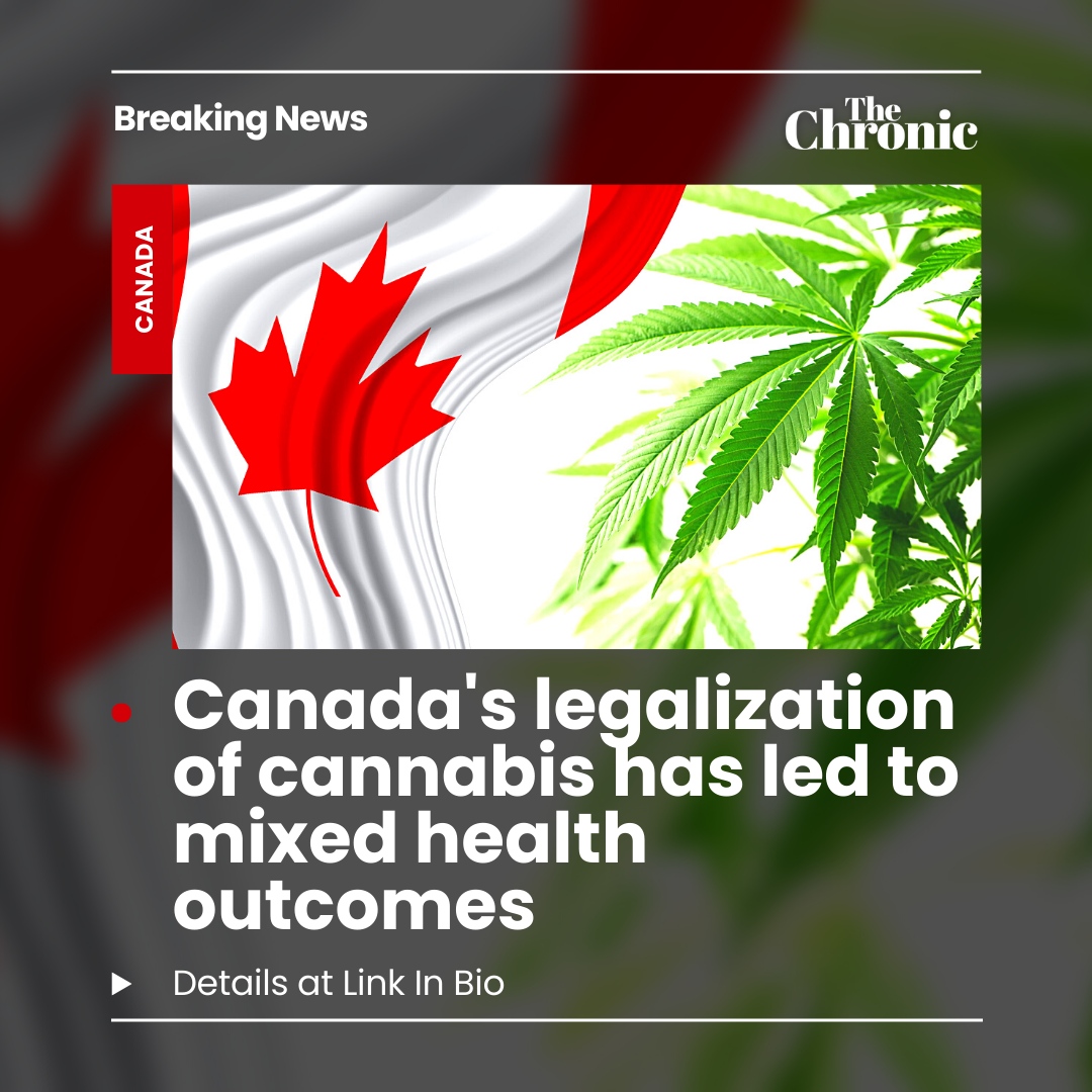 TheChronicMag's tweet photo. Since October 2018, Canada has made history by legalizing recreational cannabis. With the main aim of enhancing public health and safety, as well as reducing drug-related criminal activity, the country embarked on a series of comprehensive  Read the Full Story Link In Bio 🔗⁠ https://t.co/AEBNFeLwAU