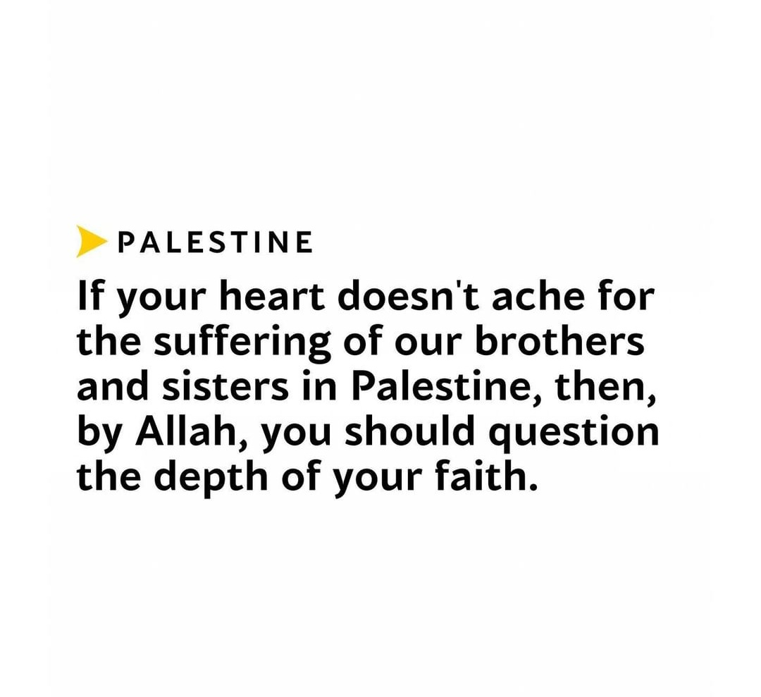 sawera___'s tweet photo. #طوفان_الاقصى_ 
#FreePalestine 
#FreeGaza 
#gaza #Palestine 
#IsraelTerrorists https://t.co/psj6I9R3z0