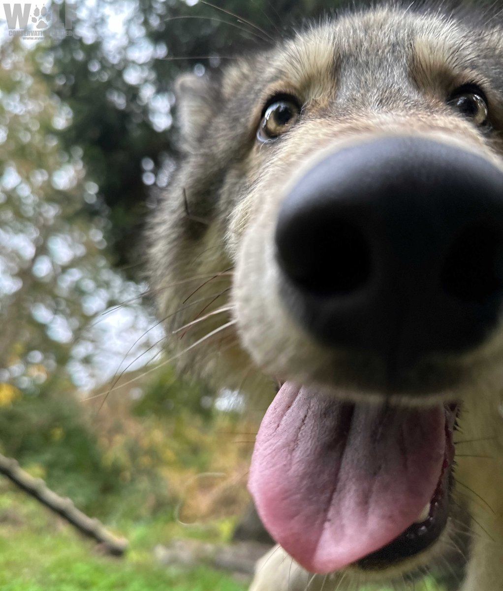 Get excited - it's FRIDAY! 😛