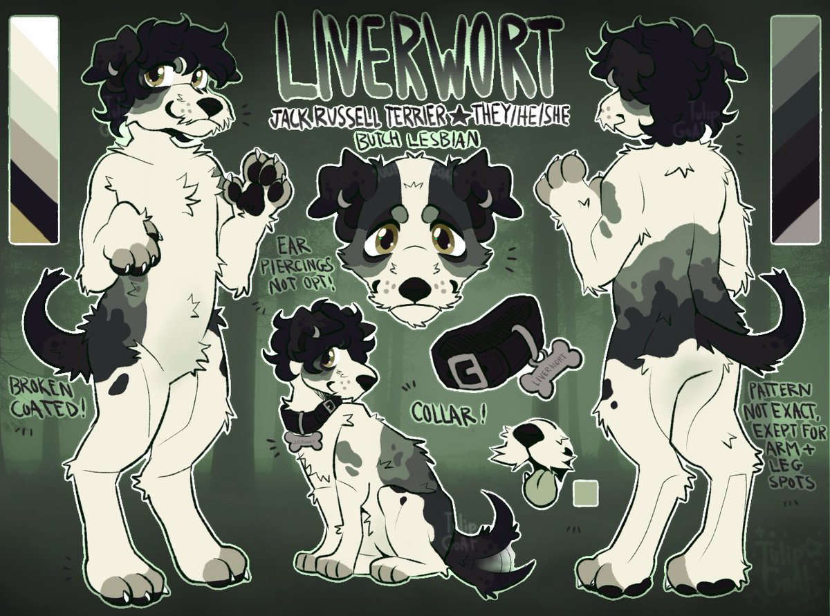 ref i finished recently for @EARTHD0G !!! i LOVE this char to bits, such a cutie !!!💚 #furry #furryart #furrycommunity #furryartwork #furrycommission