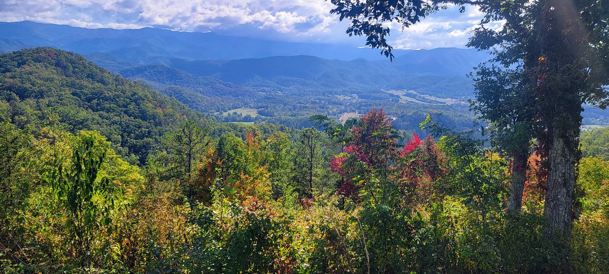 and the Smokies are slowly doing that fall foliage thing between Townsend & PigeonForge!

@spann @simpsonWVTM13 @weswyattweather @WeatherNation