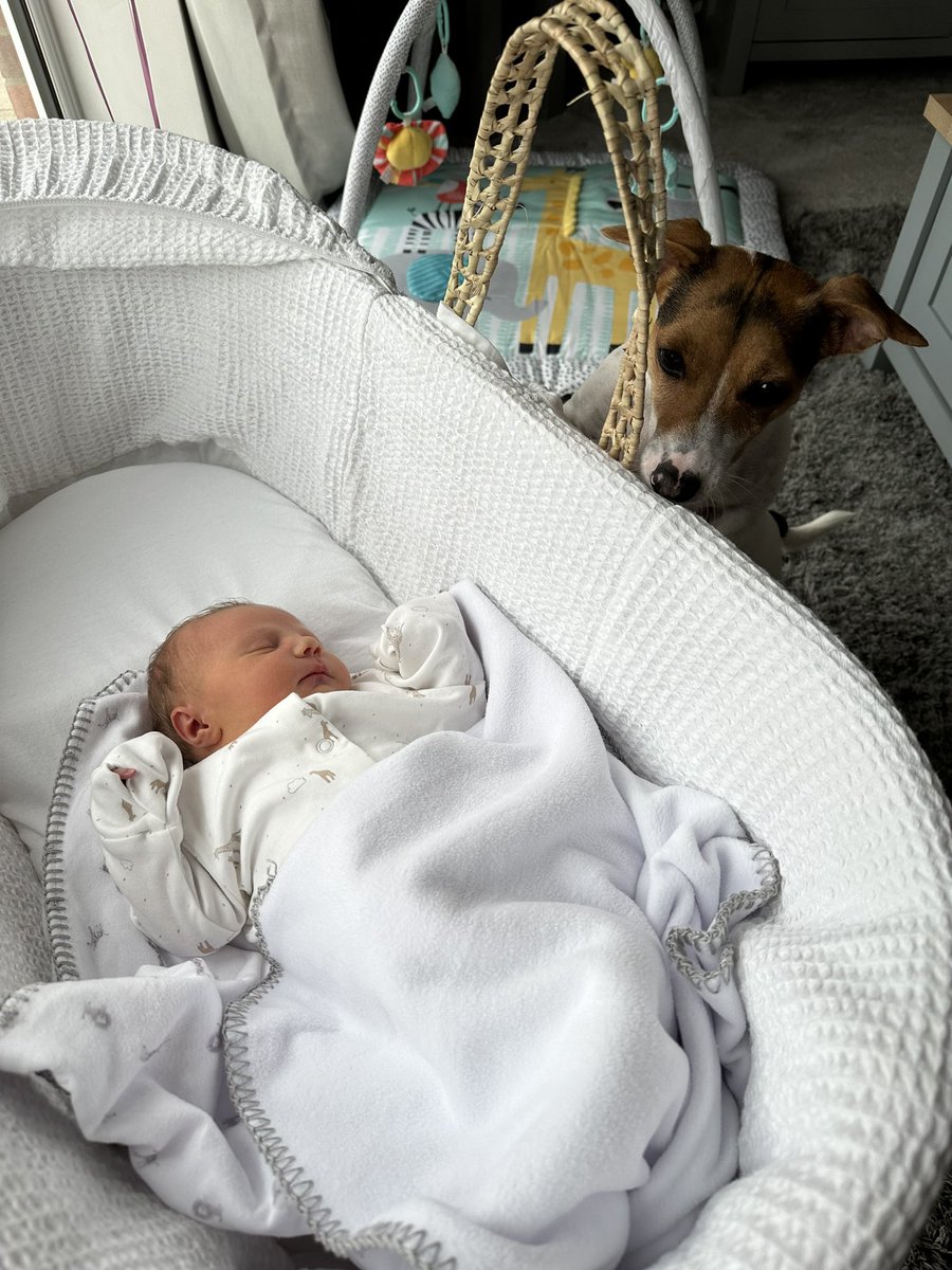 jack_cornforth's tweet image. The start of our biggest adventure, welcome to the world my girl. Phoebe Anne you’re loved more than you’ll ever know 🩷