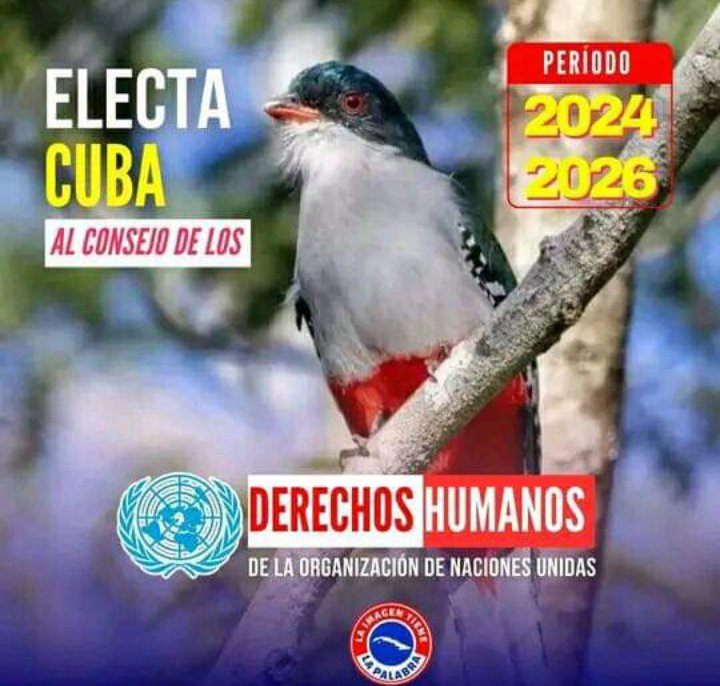 #CubanosConDerechos #Cuba sigue en defensa de las naciones en desarrollo.