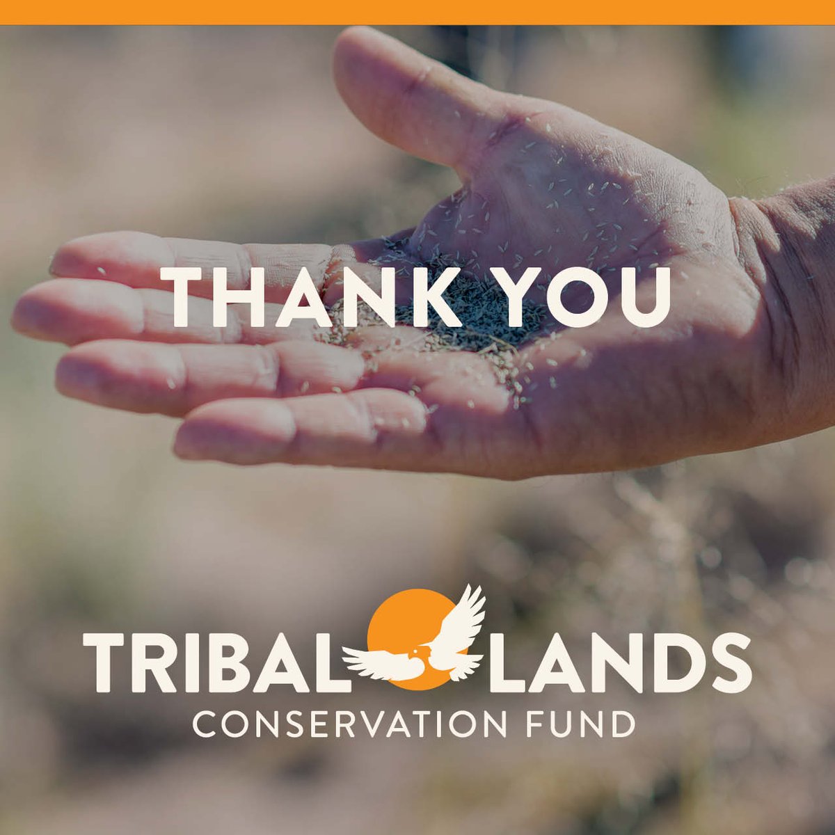 FNDI303's tweet image. Thank you for investing in #KnowledgeThatsNative! With your help, we raised more than $780,000 for our new Tribal Lands #Conservation Fund. Through this fund, we will be able to invest in community-based projects that protect watersheds, preserve forests, &amp;amp; defend sacred lands.