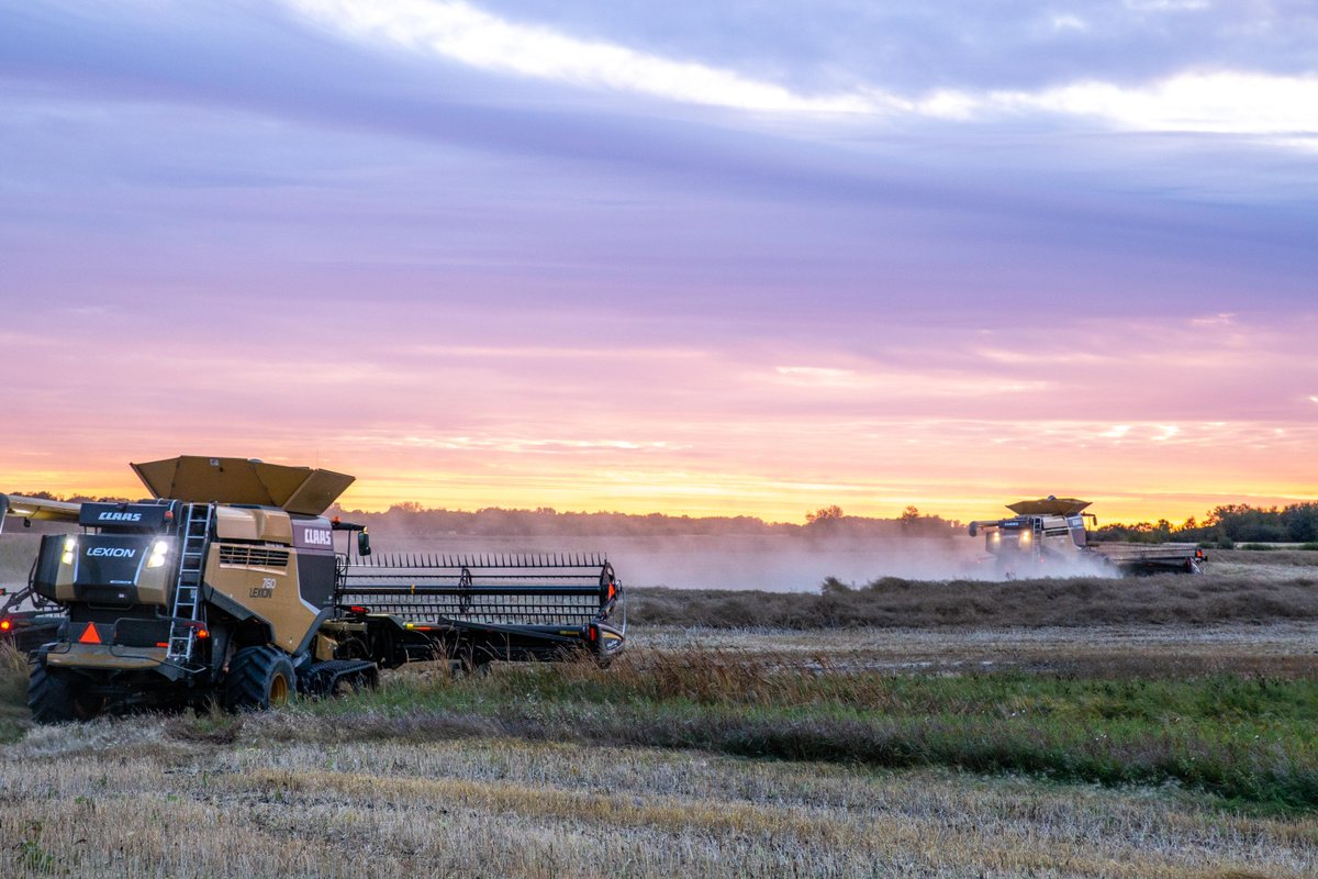 We're chasing #harvest23 sunsets 🌅

Post a sunset pic of you harvesting your DEKALB fields and ya might just get picked to get sent a sweet (and cozy as heck) DEKALB Carhartt toque 🌞