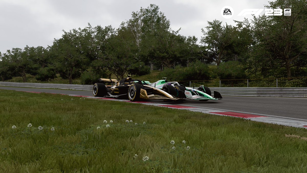 Tuturito « The Wall » tweet media