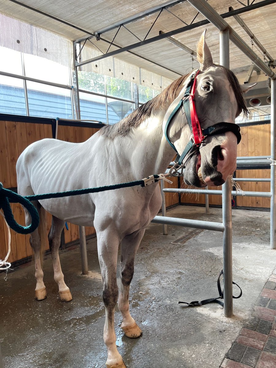 EmmaEpper's tweet image. it despises me