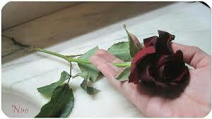 آلبًدٍر 2034🇸🇦 tweet media