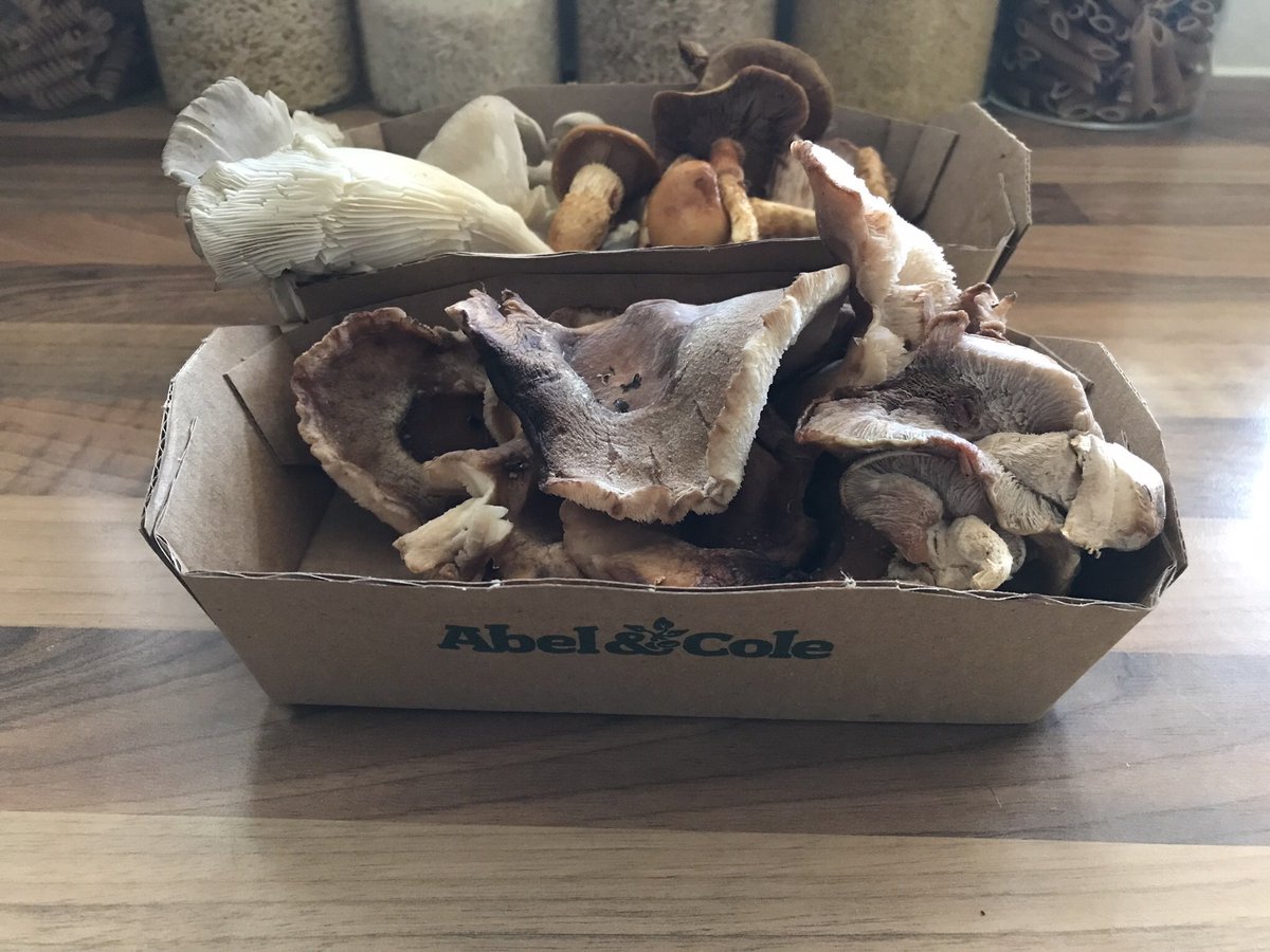 @Earthbasedsoul @NBPTROCKS @MelodyLeeLacy @SteB777 @rhosking252 Fantastic. Had some mushrooms last weekend, sourced from local organic farmers by @AbelandCole #EarthKeepersUnite