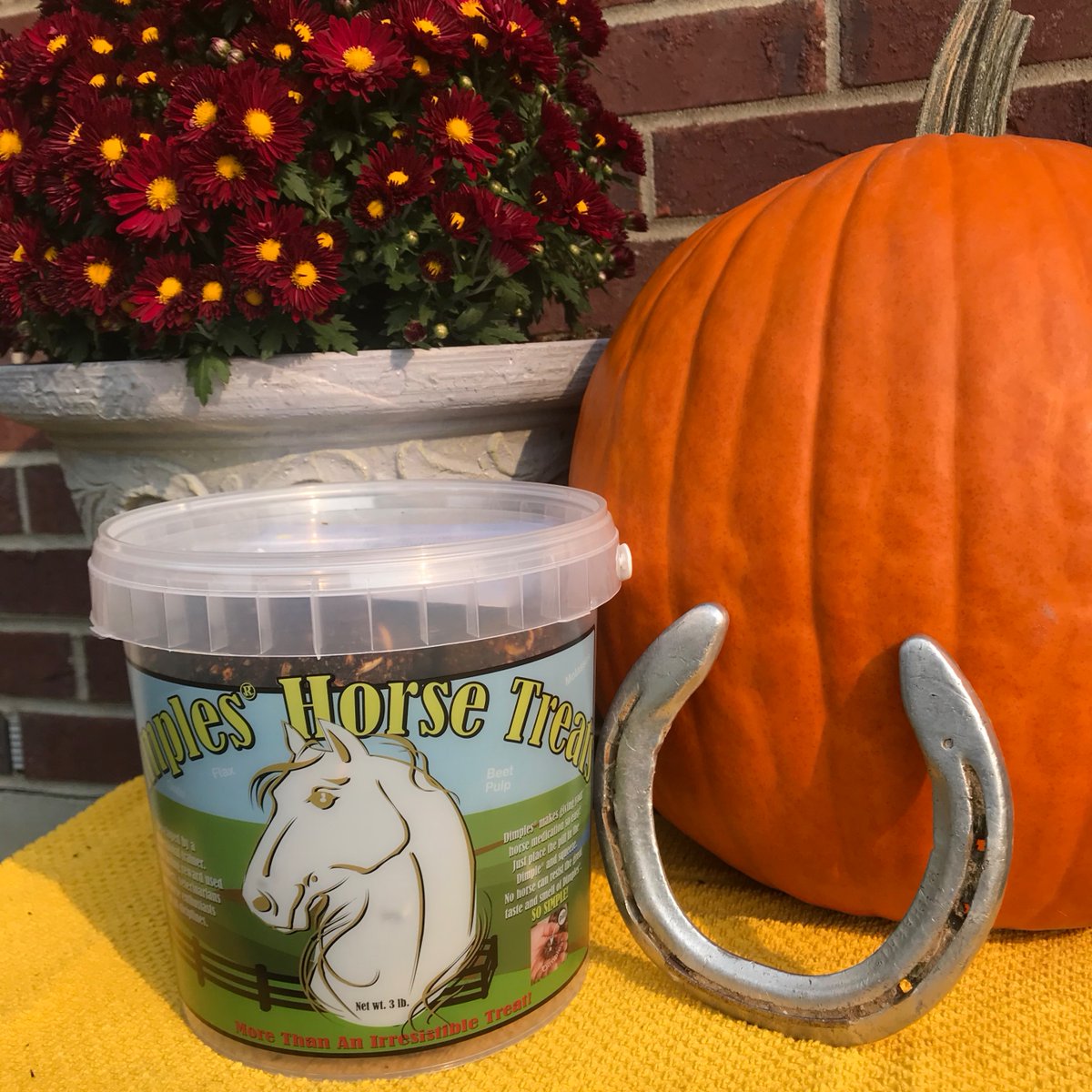 DimplesHTreats's tweet photo. We would love to see a picture of your horse enjoying Dimples !!!!

Share your stories and tag us! 🐴❤️
#DimplesHorseTreats #HorseTreats #HorseTraining #TrainingTreats #EquineNutrition #HomemadeHorseTreats #ShareWithUs #TagUs https://t.co/aI9ZuQc7lD