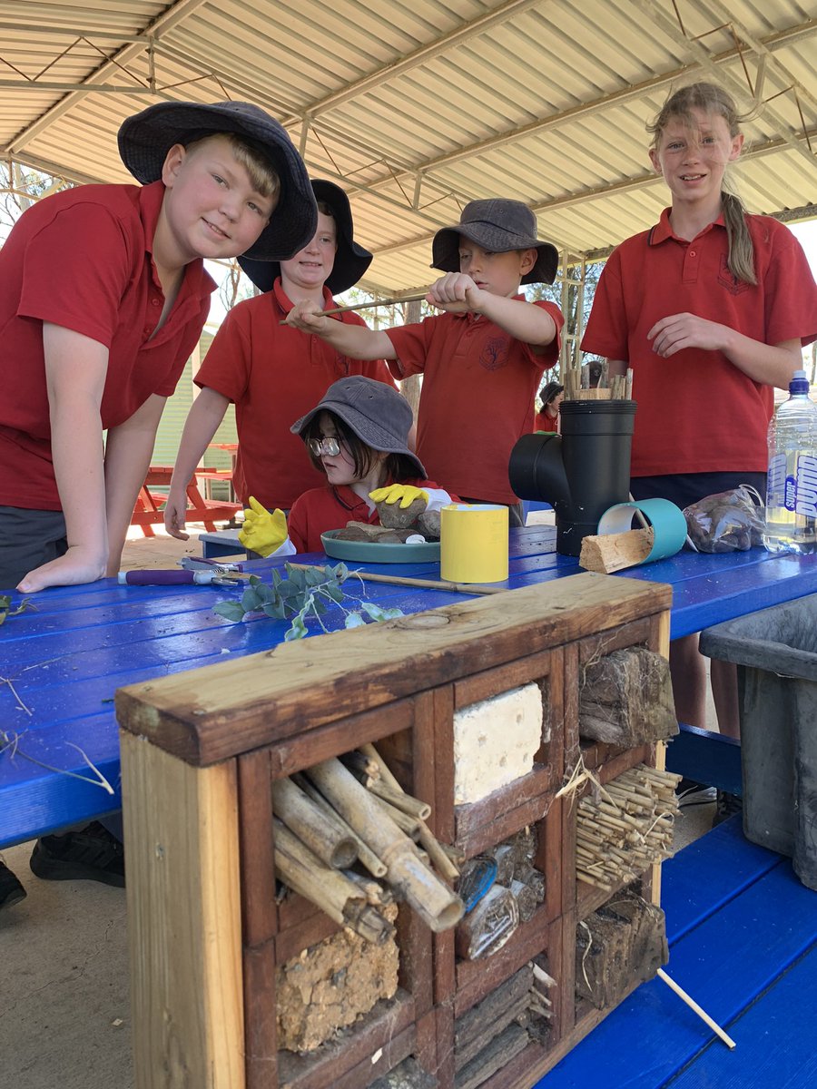 What a pleasure it was to work with all the staff &amp; students at #YanderraPS talking all things #biodiversity &amp; making a #froghome #bughotel #lizardlounge #nestingmatetialdispenser #waterstation for bees butterflies &amp; larger creatures as well as installing a #wickingbed WOW 💚🌱