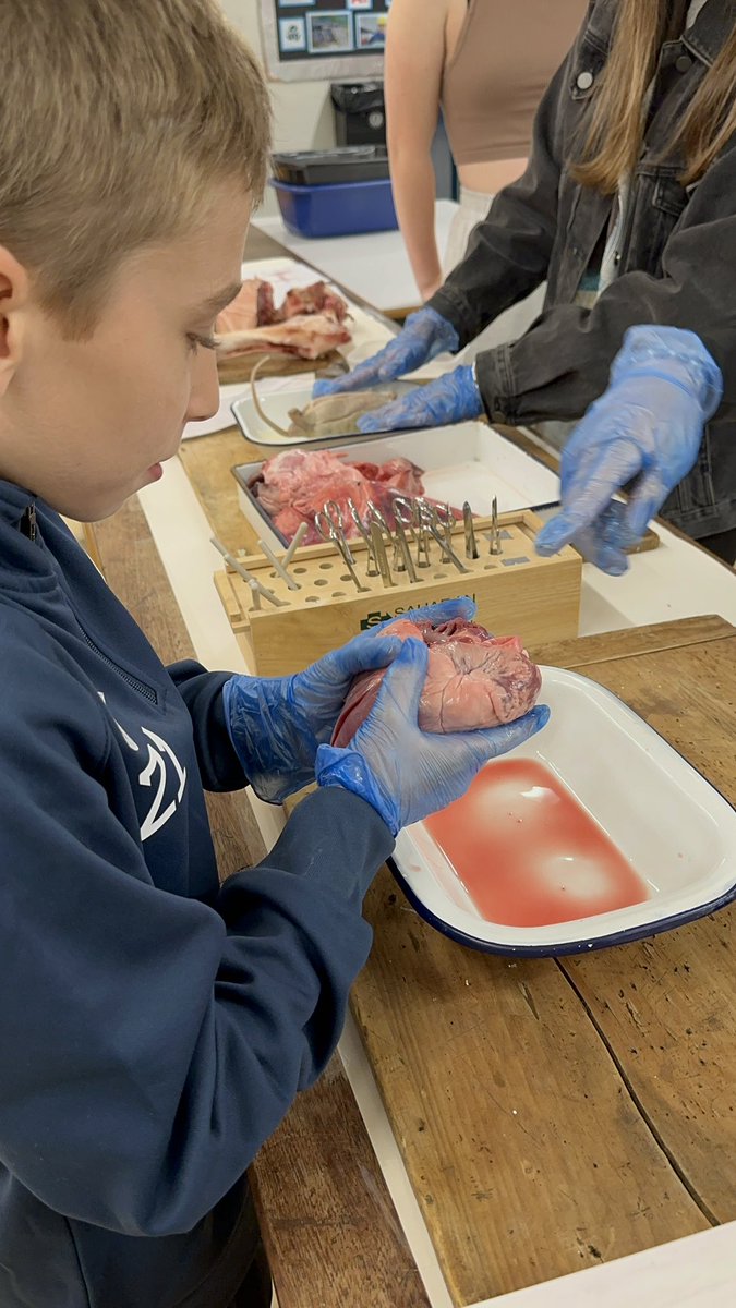 StaceyBullick's tweet photo. Thank you @MoldAlun 
We’ve loved coming along to the open evening  🏴󠁧󠁢󠁷󠁬󠁳󠁿 
we had so much fun! https://t.co/YEYd1PYJdl