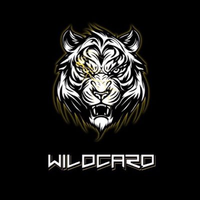wildcardent_'s tweet photo. new Logo for a #newera 🚀👊🏼 https://t.co/iivsHscR05