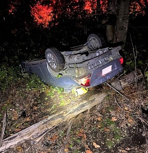 MissionRCMP's tweet image. Attended a rollover after impaired driver swerved to avoid a squirrel (90-day prohibition). The squirrel remained at scene and was uninjured, but officers recommended it wear brightly-coloured clothing and cross at a cross-walk next time. The squirrel thought that idea was nuts.