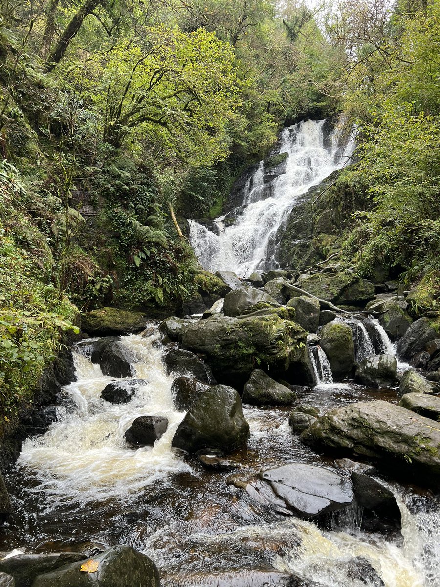 vwpic's tweet photo. Killarney National Park https://t.co/ByPotWYS2E