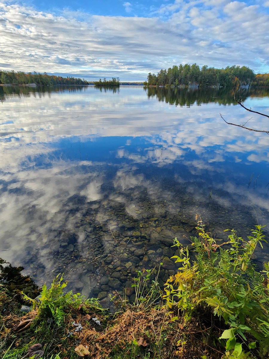I am very fortunate in being born in 🇨🇦 &amp; also where I now live in that country. The natural world I see daily is always special in some way. It makes me aware of other aspects of existence unrelated to me. It teaches me. It humbles me. It broadens my horizons. It seeks harmony.