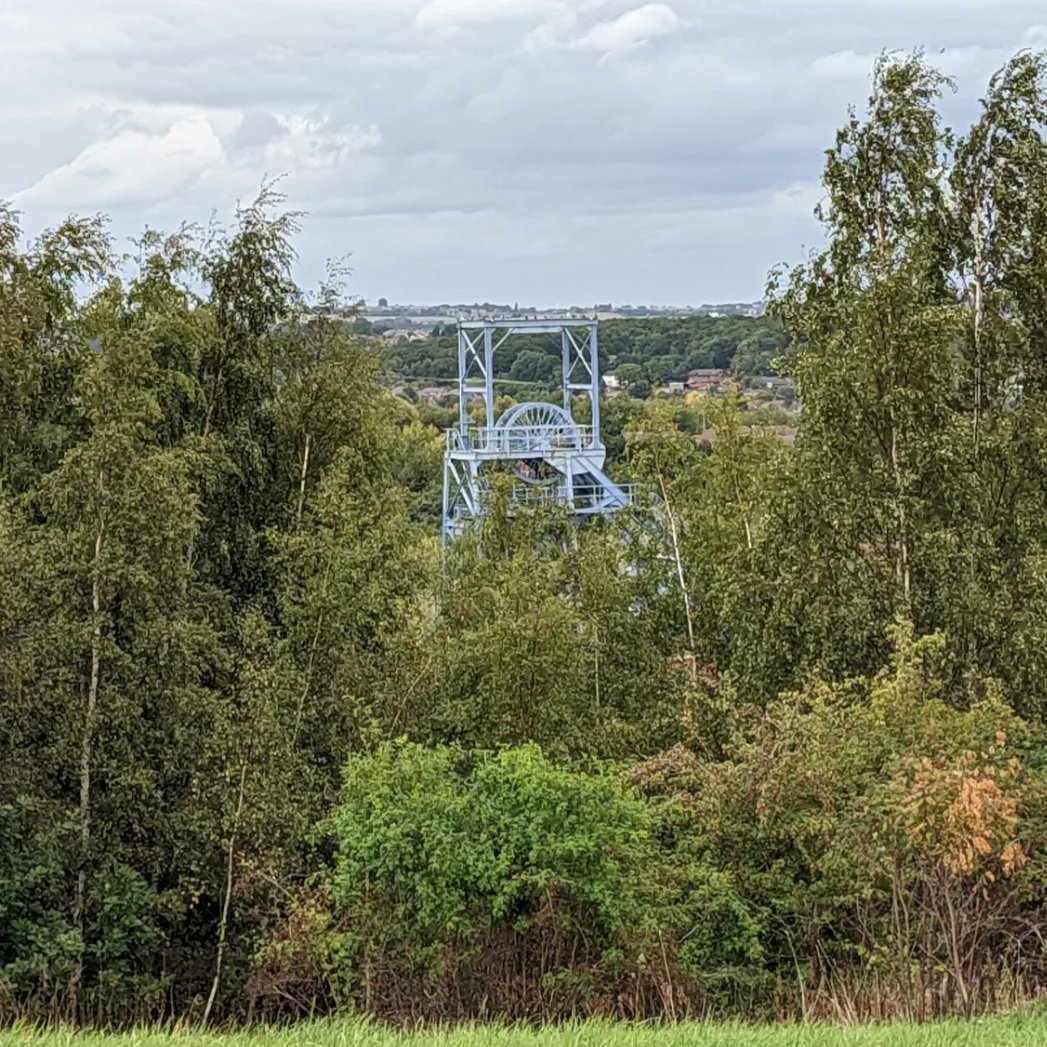 Barnsley Road Club tweet media