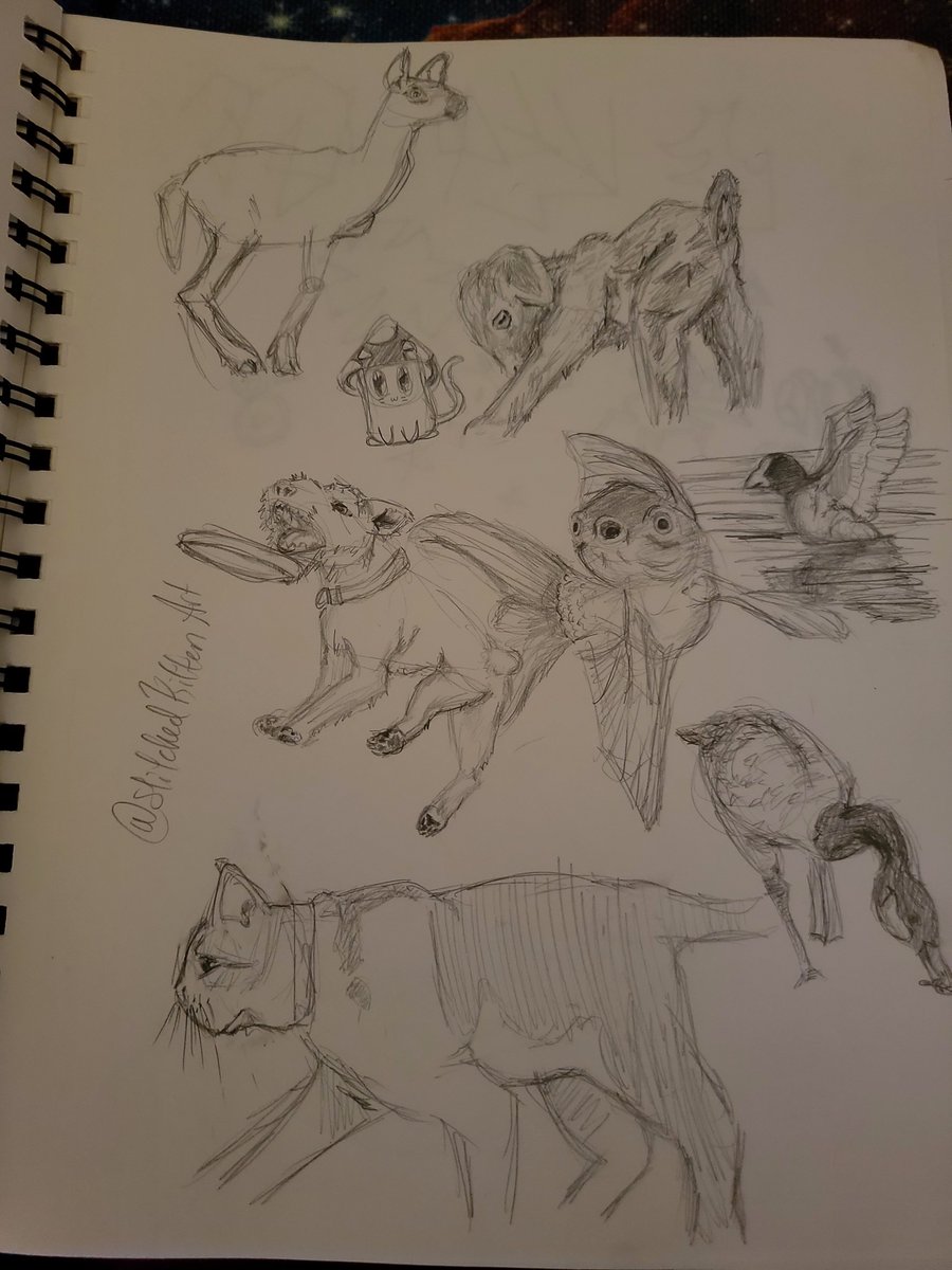 StitchedK's tweet photo. No digital art today, I've been doing a lot of traditional art studies. Here's a snippet from me doing Line of Action art exercises! #sketchbook #sketchbooktour #artexercise #traditionalart #ArtistOnTwitter https://t.co/71w9pIUR0i